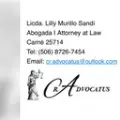 My Website